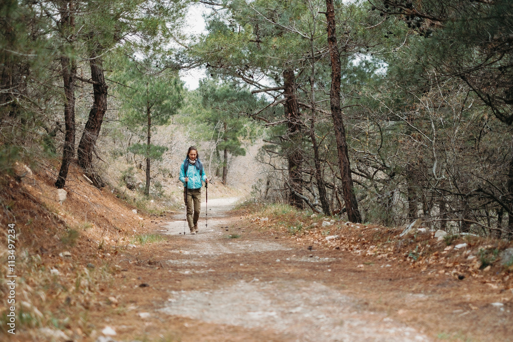 Hiker walking in pine forest