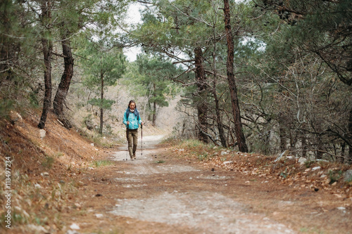 Hiker walking in pine forest