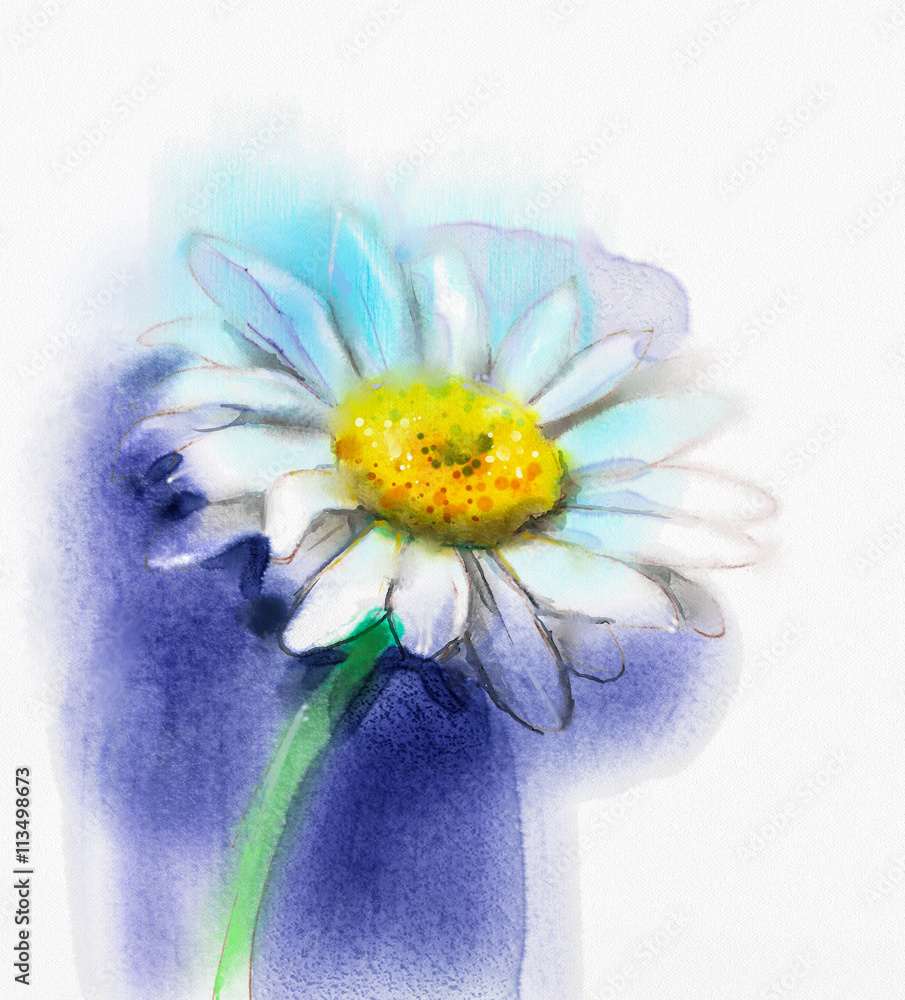 Fototapeta premium Abstract watercolor painting white gerbera, daisy flower on blue color background. Hand painted white floral water color. Sketch flower paint in pastel colors. Painted flower sketch