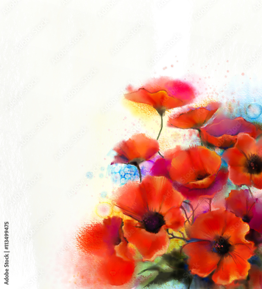 Obraz premium Watercolor red poppy flower painting. Hand paint poppies flowers in soft color and blur style, White color background. Hand painted Spring floral seasonal nature background