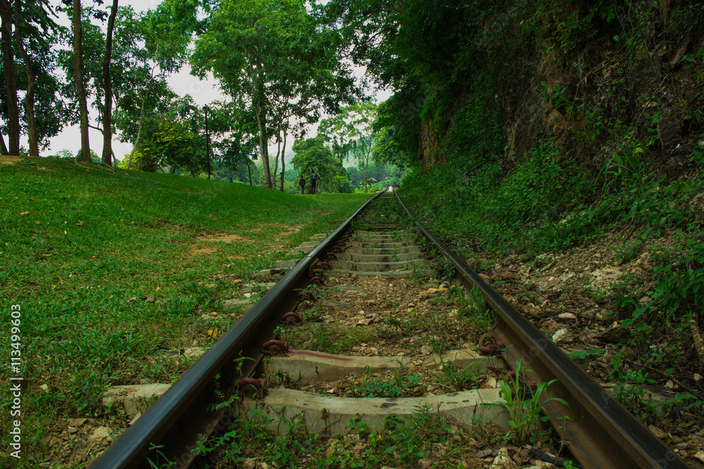 Obraz premium railway in forest