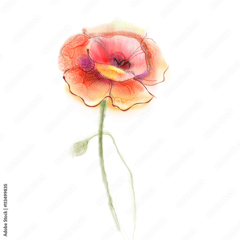 Obraz premium Watercolor painting poppy flower. Isolated flower on white background. Pink and red poppy flower painting. Hand painted watercolor floral, flower background.