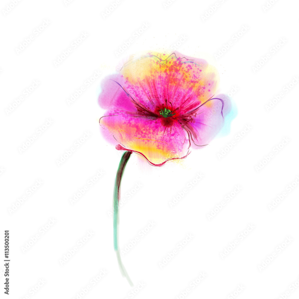 Obraz premium Watercolor painting poppy flower. Isolated flower on white background. Pink and red poppy flower painting. Hand painted watercolor floral, flower background.