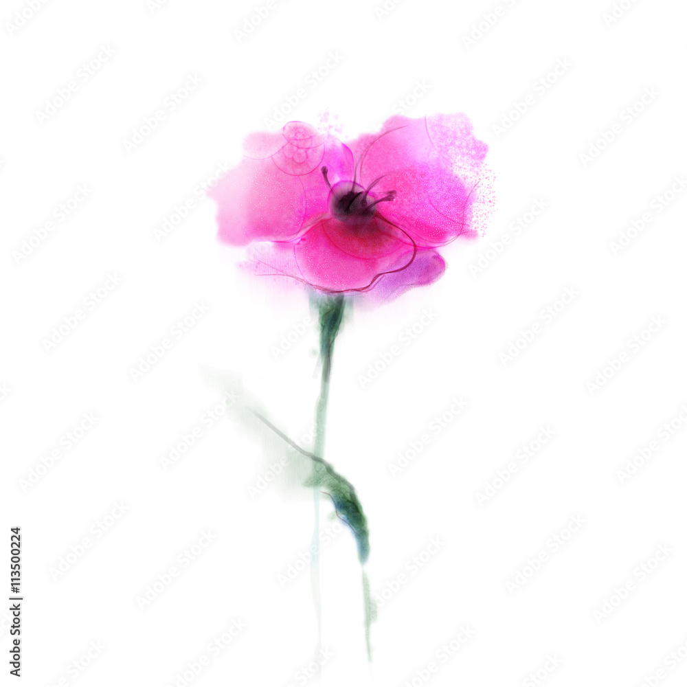 Obraz premium Watercolor painting poppy flower. Isolated flower on white background. Pink and red poppy flower painting. Hand painted watercolor floral, flower background.