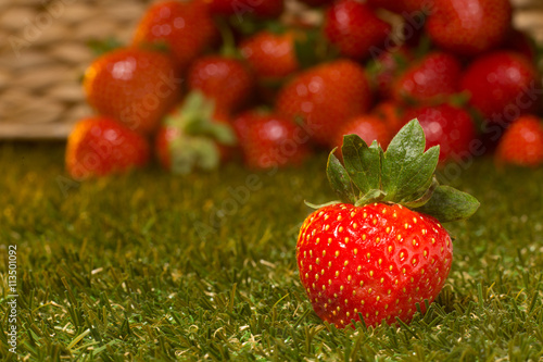 Closeup pocture of juicy strawberry represented on green grass. Single fresh red strawberry isolated on fresh strawberries background. photo
