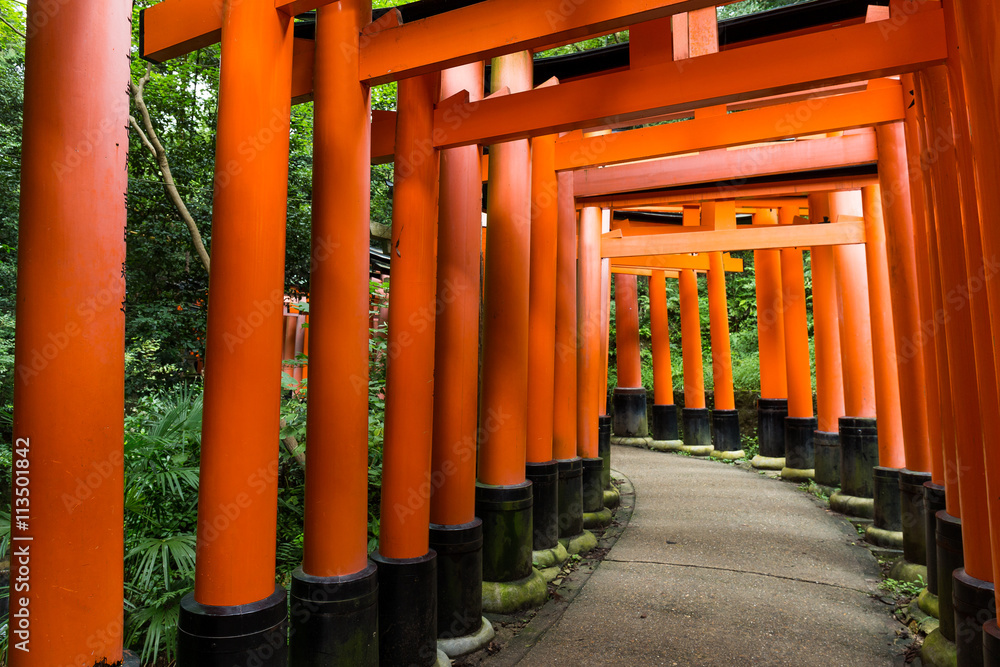 Fushimi Inari shrine in Kyoto