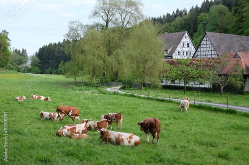 ländliche Idylle im Siebenmühlental bei Stuttgart