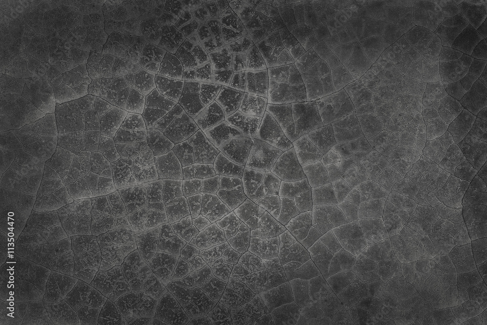 Cracked cement background Cracked cement background
