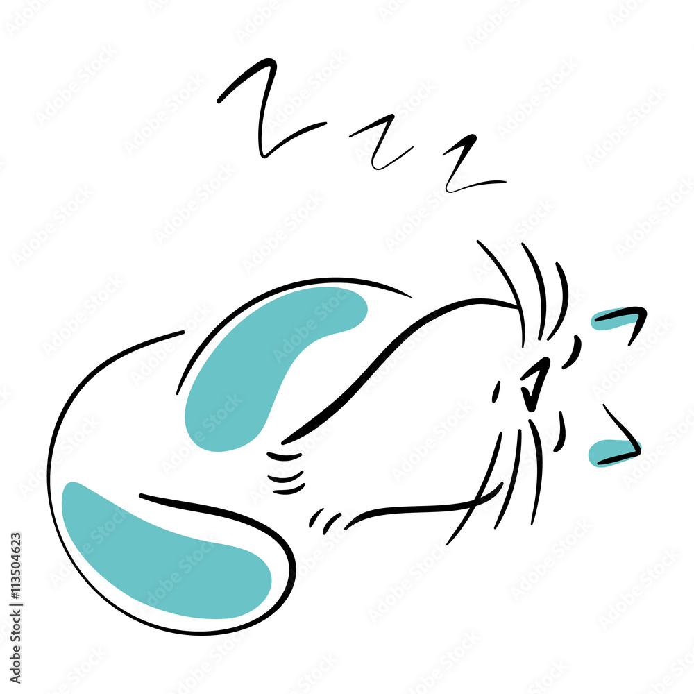 Obraz premium Sleeping cat