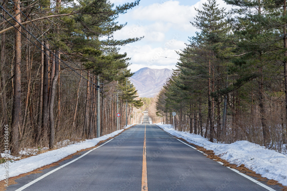 Obraz premium Winter road in snowy forest on a sunny day