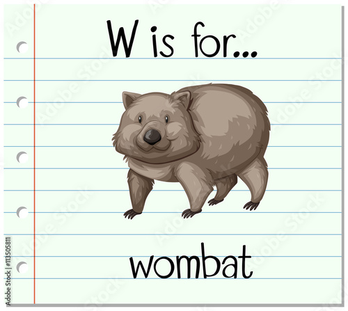 Flashcard letter W is for wombat
