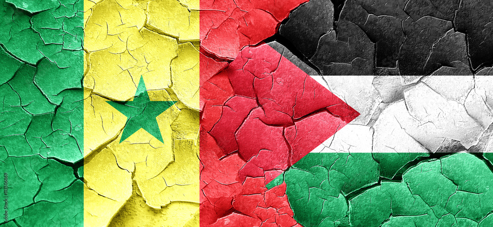 Senegal flag with Palestine flag on a grunge cracked wall