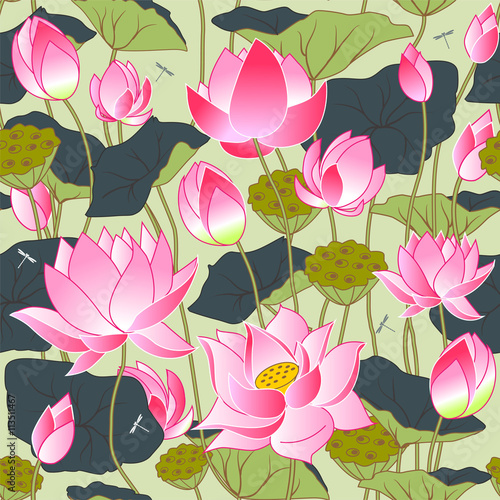 Fototapeta Naklejka Na Ścianę i Meble -  blooming pink lotus flowers