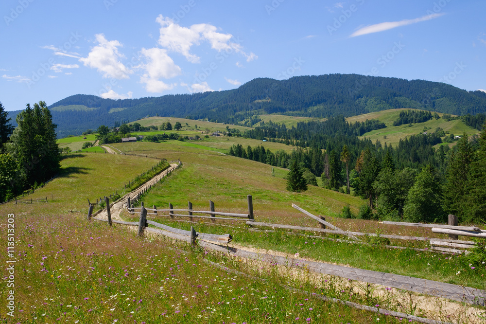 Rural landscape with country road  at sunny  morning in  the Carpathian Mountains ( near Verkhovyna) , Ukraine.