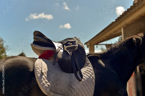 Doing saddle on the back of a horse