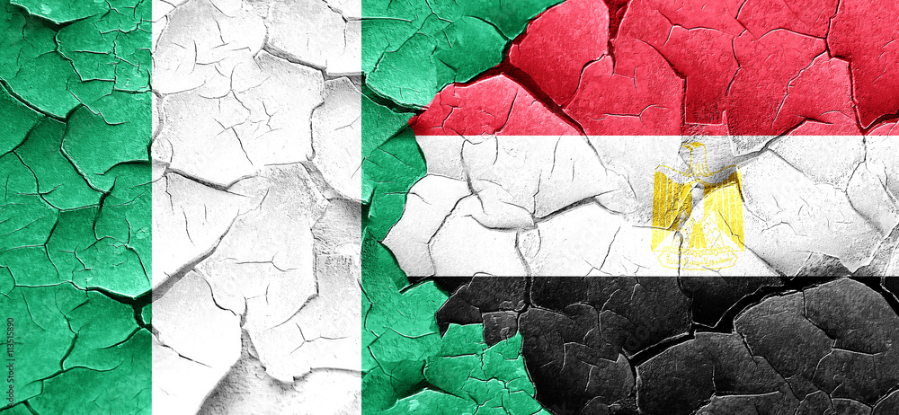 Nigeria flag with egypt flag on a grunge cracked wall