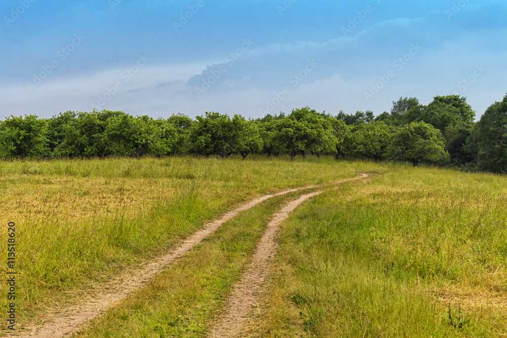 rural landscape with country road, the sky before the storm