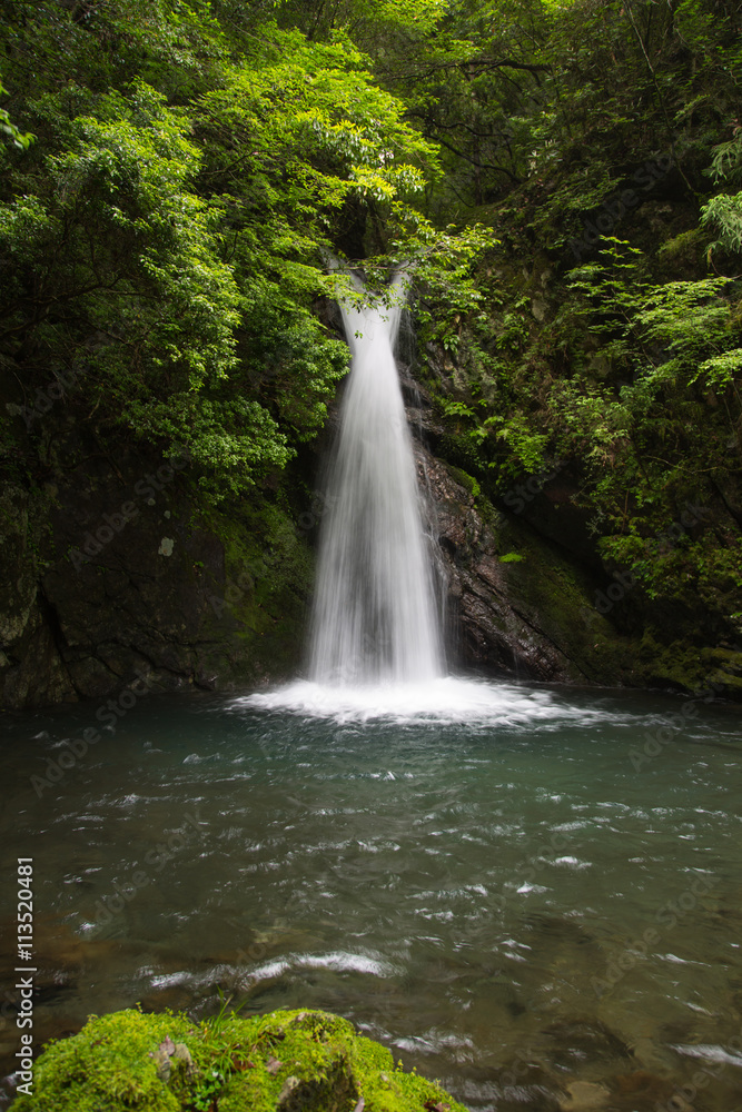 高知県津野町　追合の滝