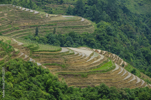 The beautiful terrace fields scenery in spring