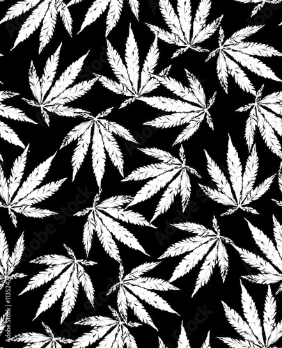 Marijuana