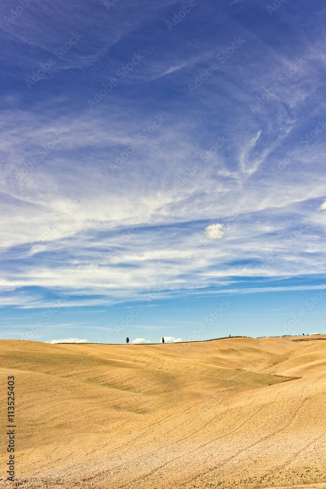 Fototapeta premium Fields in Tuscany