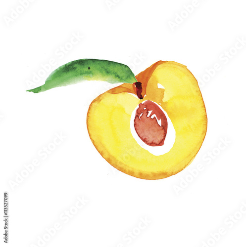 half of a peach  watercolor illustration
