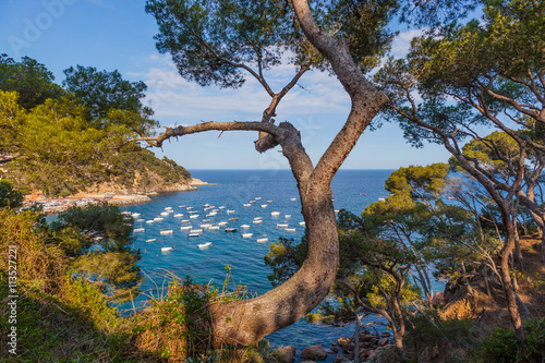 Llafranc, Costa Brava, Spain