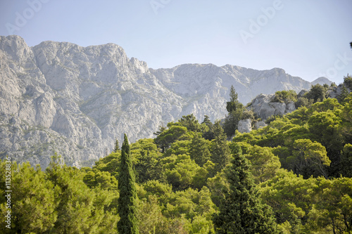 View of the mountain Biokovo and nearby woods