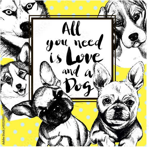Vector poster illustration of dogs. All you need is love and a dog. Siberian husky, beagle, welsh corgi pembroke, french bulldog. Hand drawn vintage engraved concept isolated on polka dot backgroung.