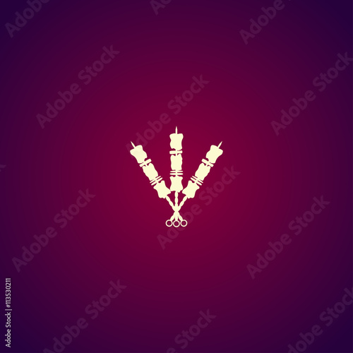 Shish kebab on skewers Icon. Modern design flat style icon.