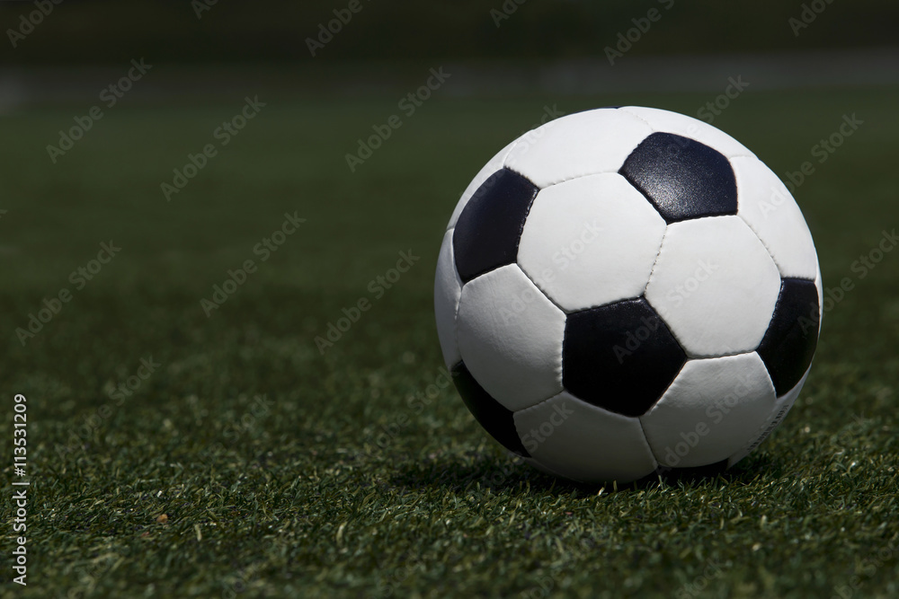 Fototapeta premium the soccer ball