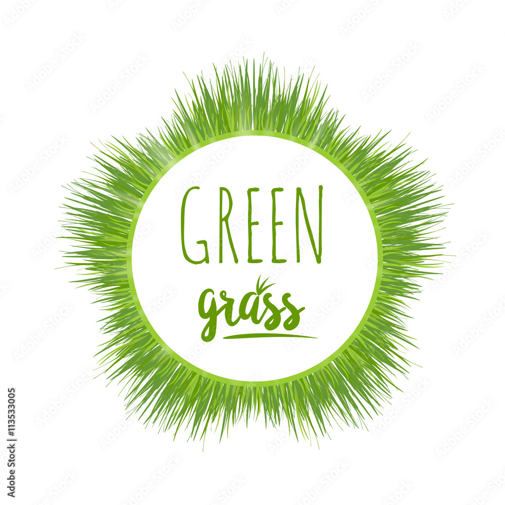 Realistic green grass lawn Realistic green grass lawn