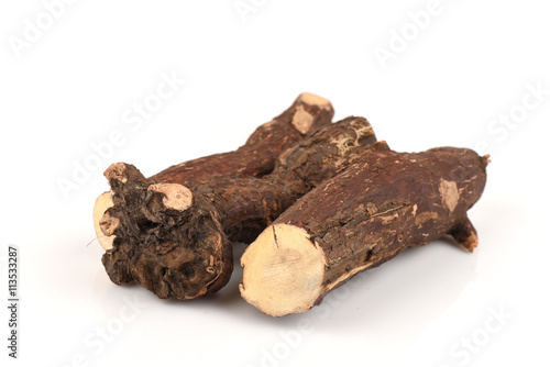 Trigonostemon reidioides Kurz Craib, the properties of the root is boiled with water. Tuberculosis and other help.