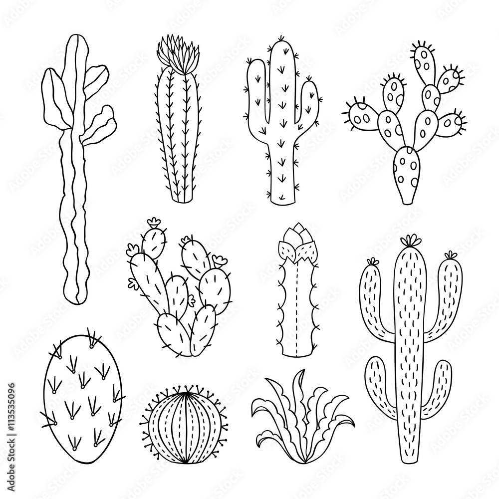 free black and white cactus clipart outline