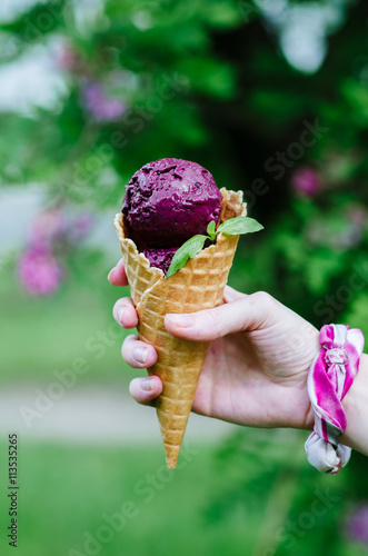 hand holding waffle cone with blueberry ice cream