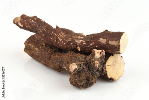 Trigonostemon reidioides Kurz Craib, the properties of the root is boiled with water. Tuberculosis and other help. photo