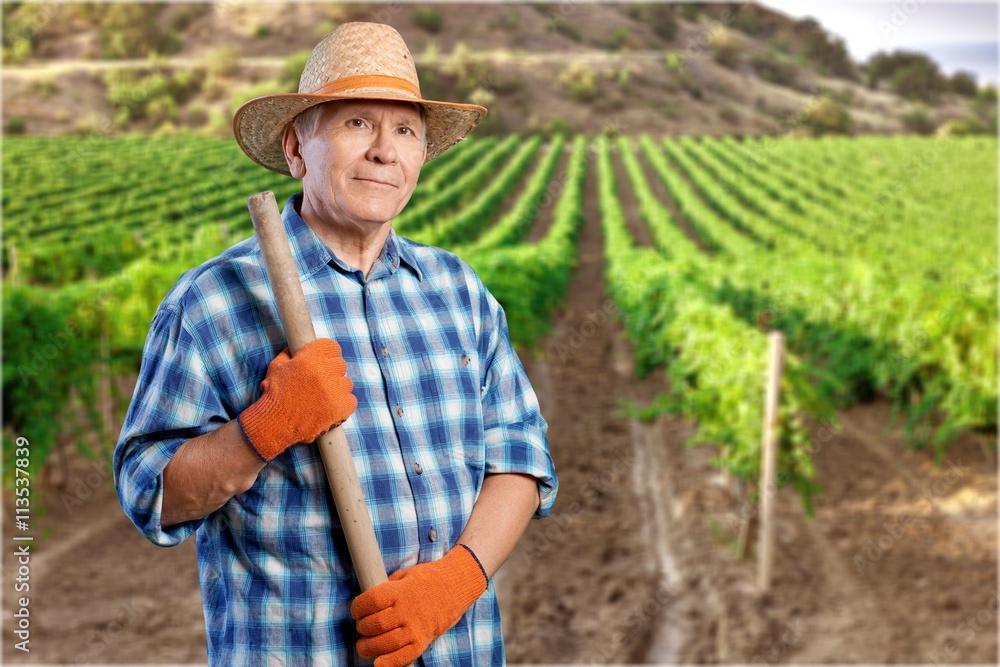 Fototapeta premium Gardening.