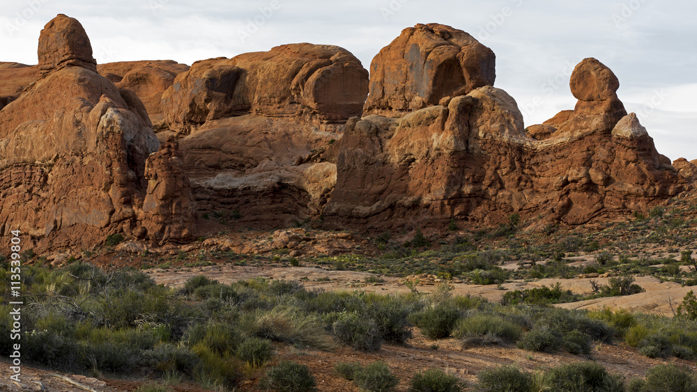 Fototapeta premium Parade of Elephants at Arches National Park in Moab Utah.