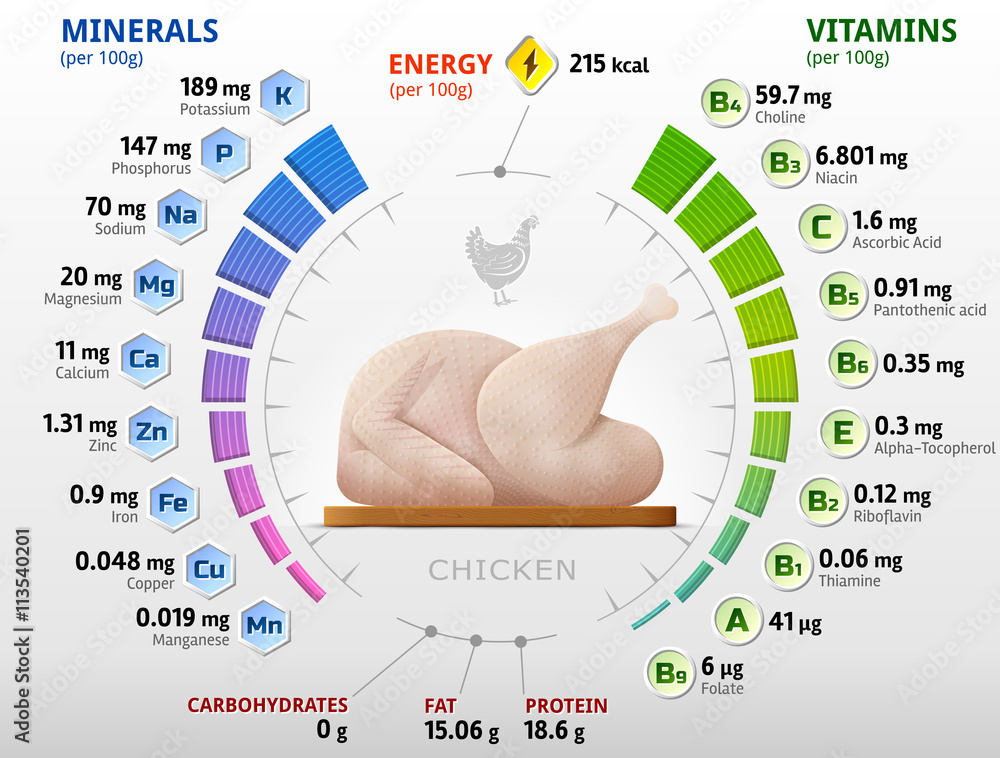 Vitamins and minerals of raw chicken. Infographics about nutrients in