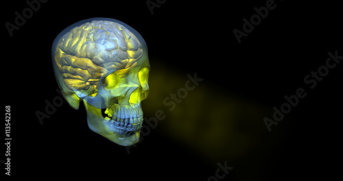 Human Skull glowing transparent yellow with brain inside photo