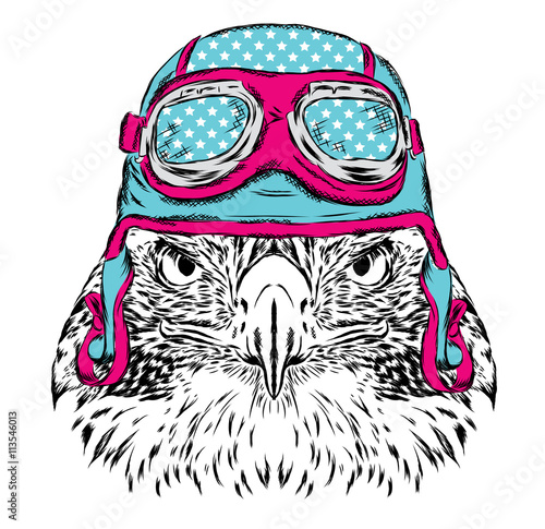 Bird in a helmet. Pilot or biker. Vector illustration for greeting card, poster, or print on clothes. photo