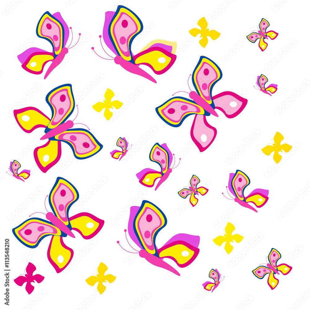 butterfly butterfly