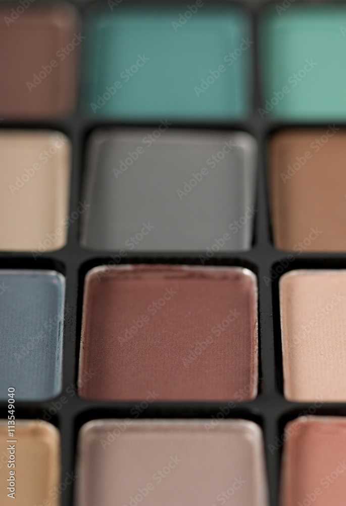 Fototapeta premium Twelve Color Eye Shadow Compact
