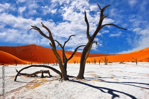 Obraz Deadvlei, Sossusvlei. Namibia