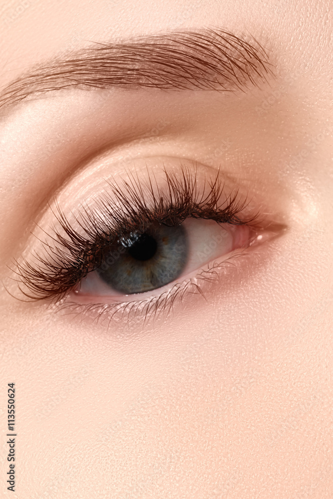 Obraz premium Macro shot of woman's beautiful eye with extremely long eyelashe