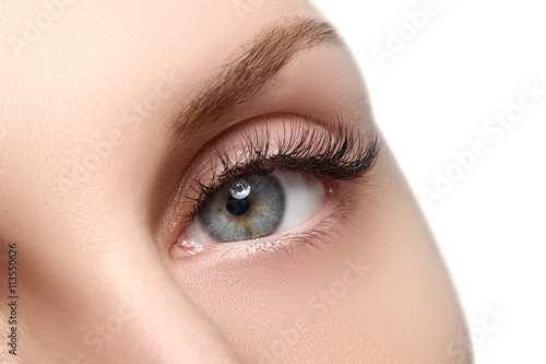 Fototapeta Naklejka Na Ścianę i Meble -  Macro shot of woman's beautiful eye with extremely long eyelashe
