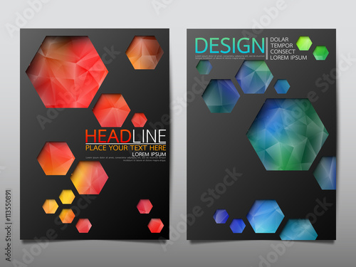 Hexagon business technology annual report brochure flyer design template vector, Leaflet cover presentation abstract geometric background, modern publication poster magazine, layout in A4 size