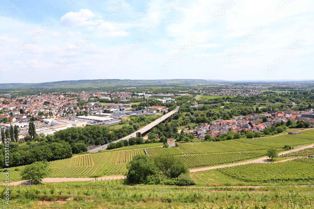 Links Büdesheim, vorne rechts Münster-Sarmsheim, hinten rechts Dietersheim. In der Mitte die B9 und die Brücke über die Nahe. Blick vom Langenberg. (Juni 2016)