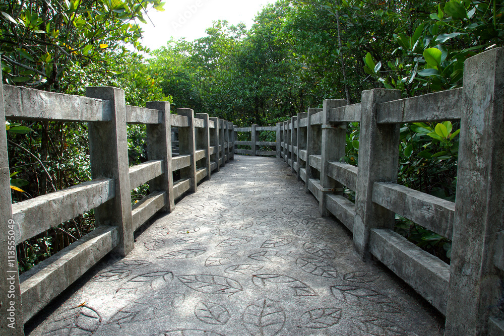 Natural mangrove walkway. Thailand travel.