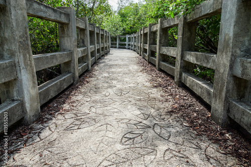 Natural mangrove walkway. Thailand travel.